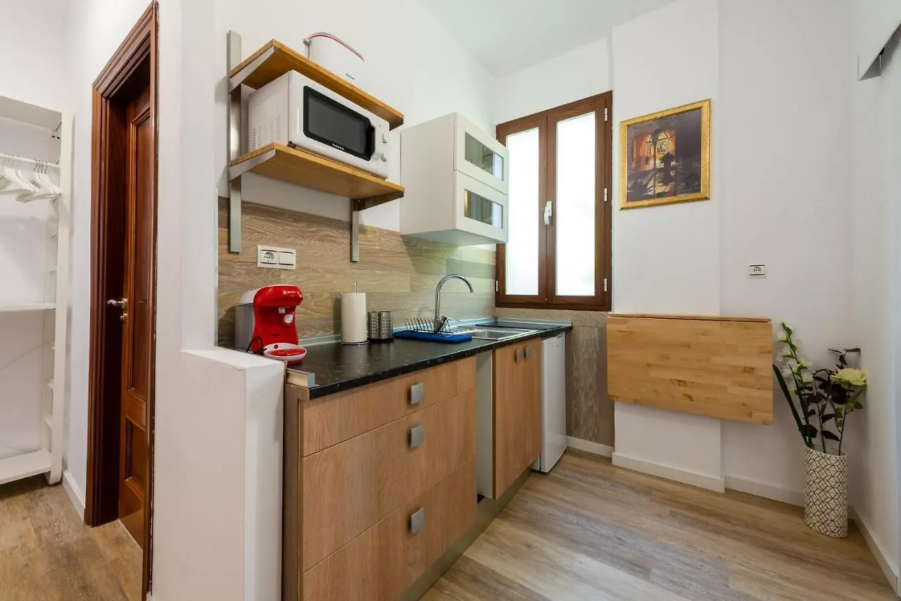 Apartamento Realejo Casco Historico Granada 0*,  Spain