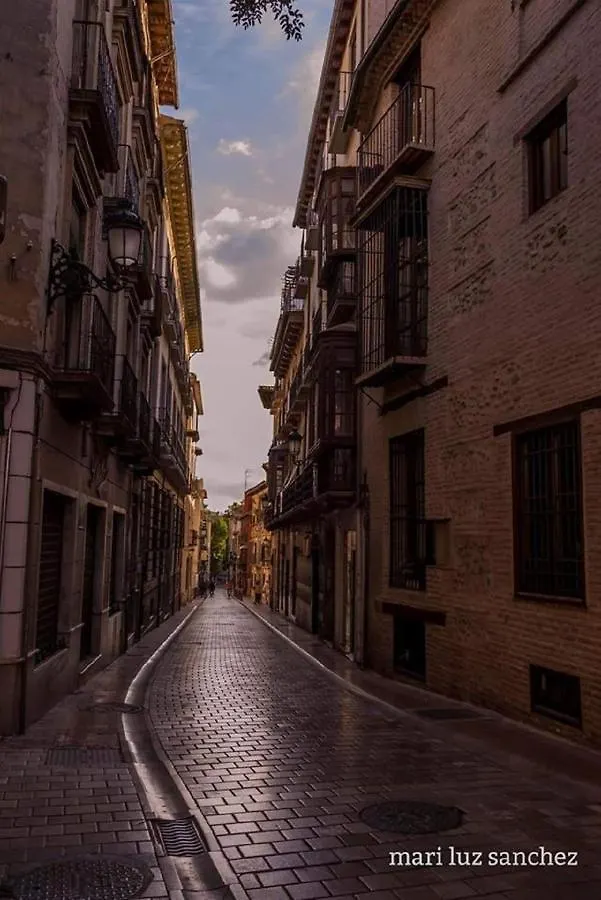 Apartamento Realejo Casco Historico Granada 0*,